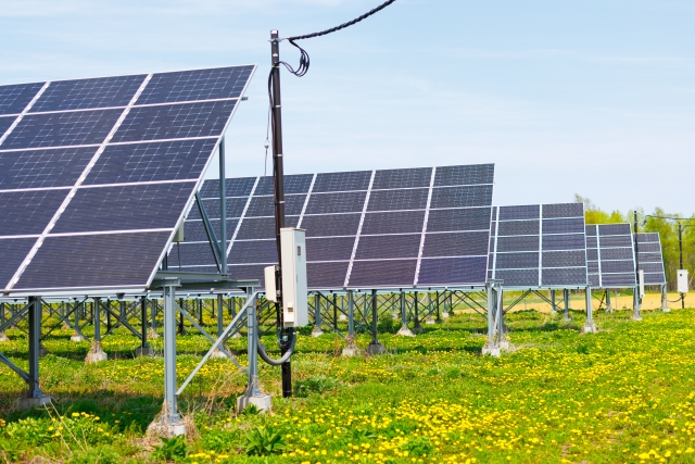 草地に設置された太陽光発電パネルの列
